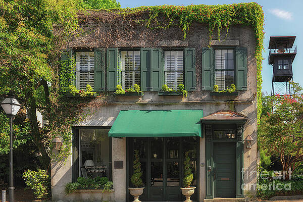 Wall Art - Photograph - Southern Charm on Queen Street - Former Charleston Gardens by Dale Powell