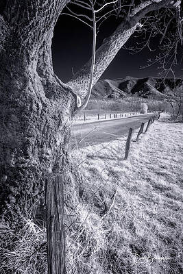Sparks Lane 0954 by Dan Beauvais Sparks Lane 0954 by Dan Beauvais