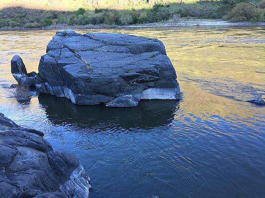 Spawning Upstream by YHWHY Vance Spawning Upstream by YHWHY Vance