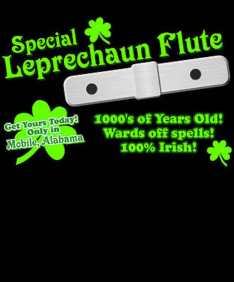 Wall Art - Digital Art - Special Leprechaun Flute St Patricks Day by Flippin Sweet Gear
