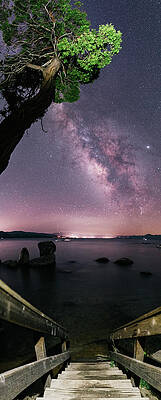 Speedboat Beach Galaxy by Wade Snider Speedboat Beach Galaxy by Wade Snider