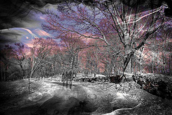 Spirited Walkers by Russ Considine Spirited Walkers by Russ Considine