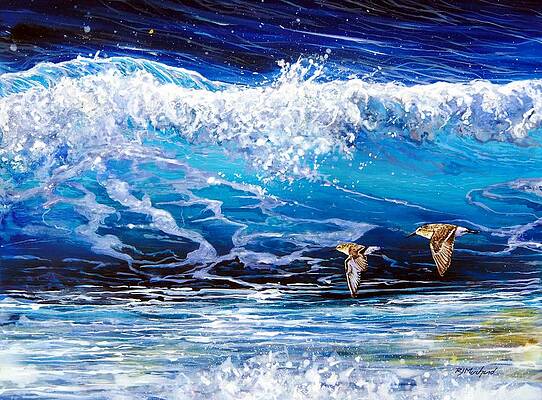 Splendid Chaos by RJ Marchand Splendid Chaos by RJ Marchand
