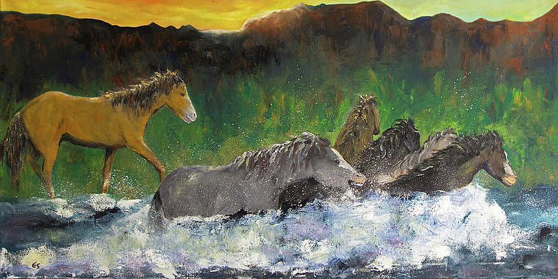 Splish Splash by Evelyn Snyder Splish Splash by Evelyn Snyder
