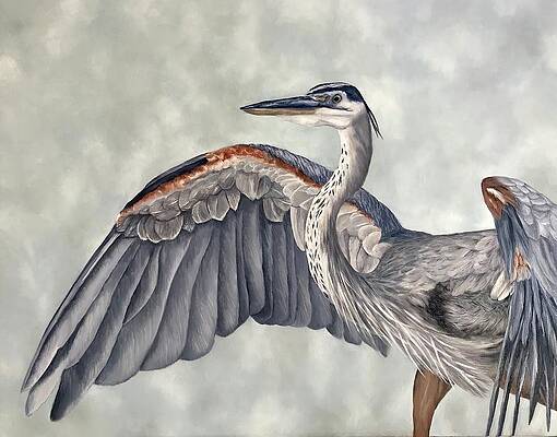 Spread Your Wings by Jill Leach
