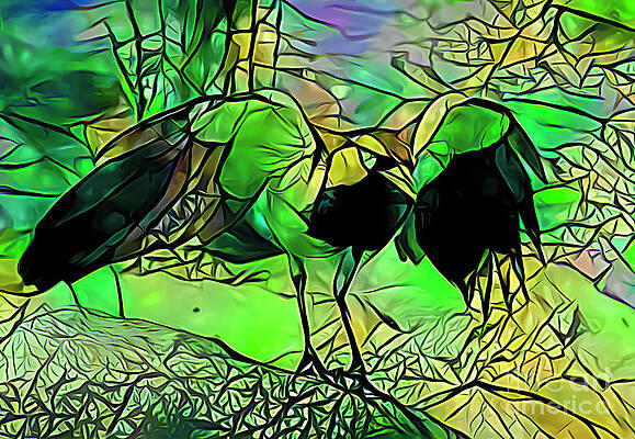 Spread Your Wings. by Trudee Hunter Spread Your Wings. by Trudee Hunter