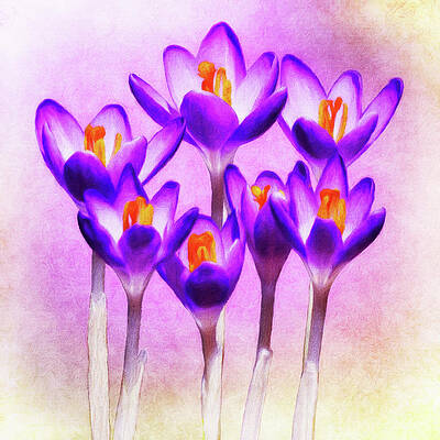 Spring Crocus - The Color Of Things To Come by Leslie Montgomery Spring Crocus - The Color Of Things To Come by Leslie Montgomery