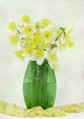 Wall Art - Photograph - Spring Daffodils by Denis O' Reilly