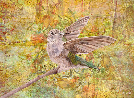 Spring Dance by Angeles M Pomata Spring Dance by Angeles M Pomata