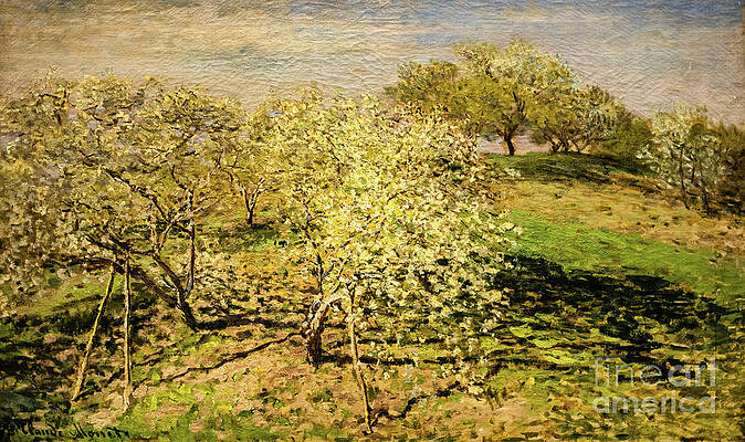 Spring Fruit Trees in Bloom 1873 by Claude Monet by Claude Monet Spring Fruit Trees in Bloom 1873 by Claude Monet by Claude Monet