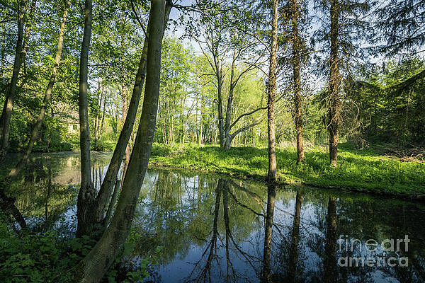 Spring Idyll by Eva Lechner Spring Idyll by Eva Lechner