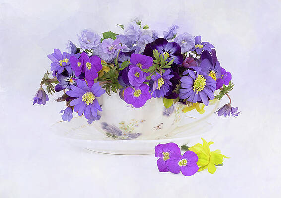 Wall Art - Photograph - Spring in a tea cup by Denis O' Reilly