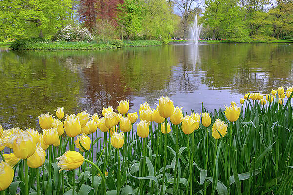 Wall Art - Photograph - Spring In The Netherlands by Robert Miller