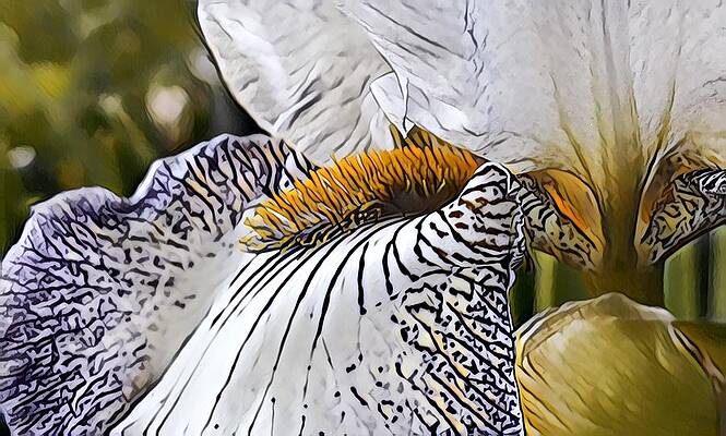 Spring Is in the Air by Bruce Bley Spring Is in the Air by Bruce Bley