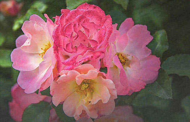 Springtime Nosegay, Textured by Marcy Wielfaert Springtime Nosegay, Textured by Marcy Wielfaert