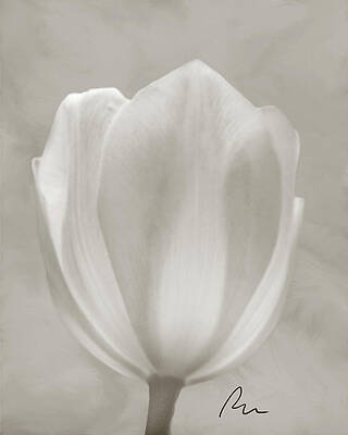 Springy Tulip-Ramona Murdock Art by Ramona Murdock Springy Tulip-Ramona Murdock Art by Ramona Murdock