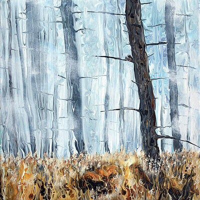 Squirrel in a Misty Pine Woodland by Laura Iverson Squirrel in a Misty Pine Woodland by Laura Iverson