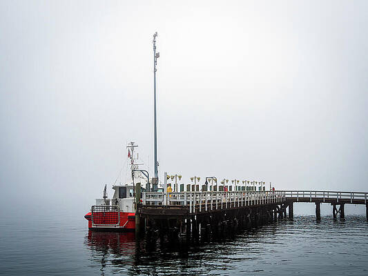 Standing By in the Fog by Joe Schofield Standing By in the Fog by Joe Schofield
