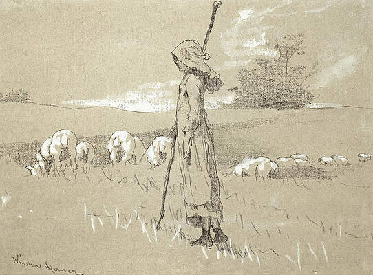 Standing Shepherdess with her Flock Print by Winslow Homer