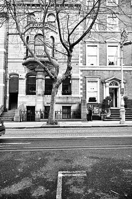 Wall Art - Photograph - Standing Tall by Edward Lee