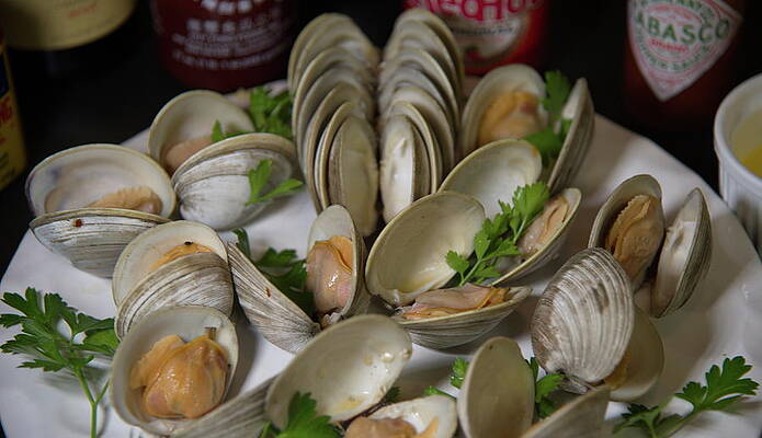 Steamed Clams and Shells on a plate by Robert Hartley