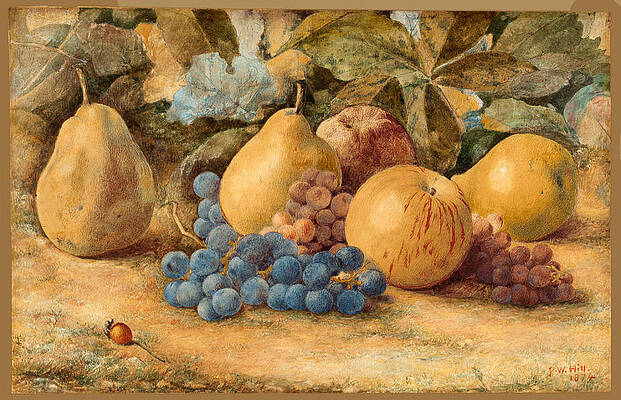 Still Life Of Fruit, Apples, Pears, And Grapes On Ground Print by John William Hill