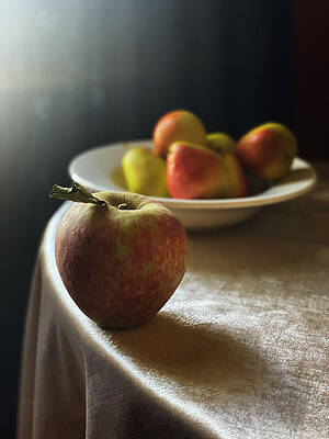 Still Life with Autumn Fruit on Velvet by Joy Sussman by Joy Sussman Still Life with Autumn Fruit on Velvet by Joy Sussman by Joy Sussman