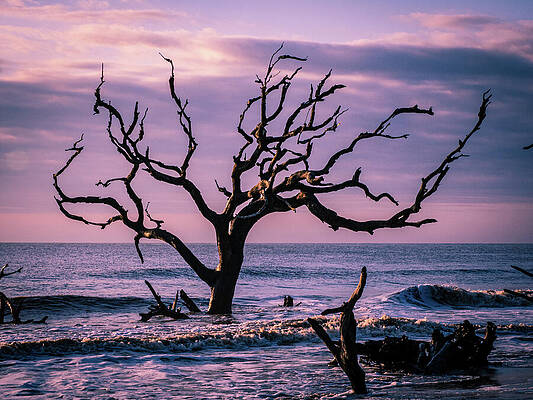 Still standing  by Jeffrey Hinkle