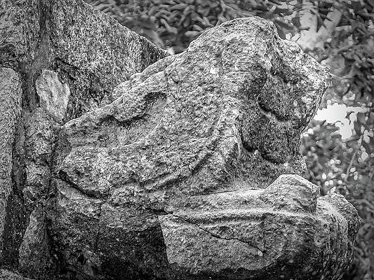 Stone Snakehead Carving - Chichen Itza by Frank Mari Stone Snakehead Carving - Chichen Itza by Frank Mari