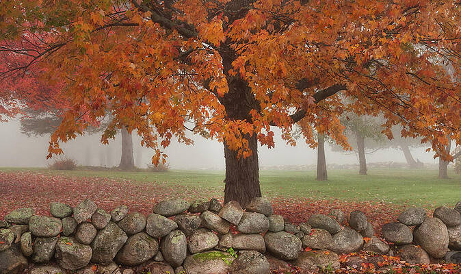 Wall Art - Photograph - Stone Wall by Darylann Leonard Photography