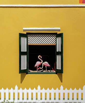 Wall Art - Photograph - Store Window by Greg Croasdill