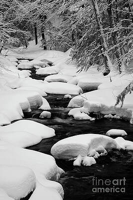 Stream Heavy With Snow by John Stephens Stream Heavy With Snow by John Stephens