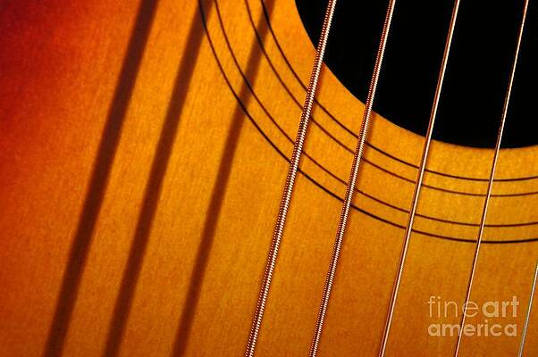 String Composition by Dan Holm String Composition by Dan Holm