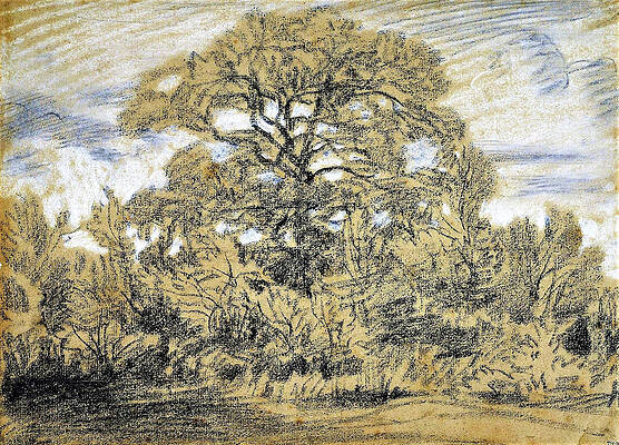 Wall Art - Painting - Study of an Oak Tree - Digital Remastered Edition by Theodore Rousseau