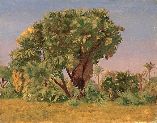 Study of Palm Trees Print by Jean-Leon Gerome