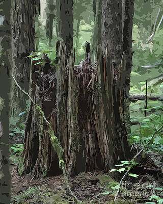 Stump In The Forest by Kirt Tisdale Stump In The Forest by Kirt Tisdale