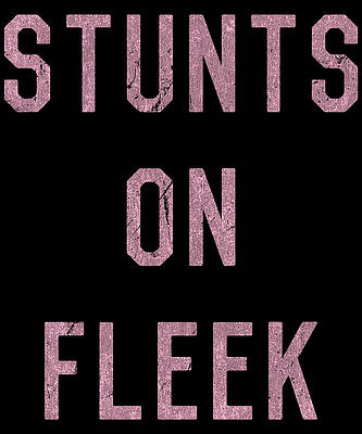 Wall Art - Digital Art - Stunts On Fleek Cheer Cheerleading by Flippin Sweet Gear