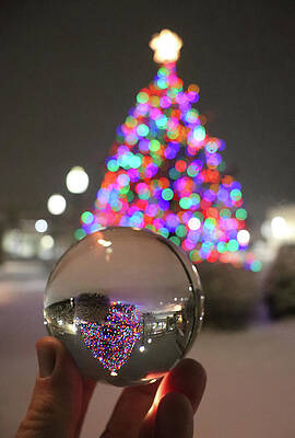 Sturgeon Bay Christmas Tree Lensball by David T Wilkinson Sturgeon Bay Christmas Tree Lensball by David T Wilkinson