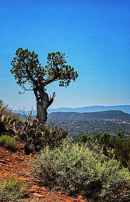 Sugarloaf Hike by Tom Singleton Sugarloaf Hike by Tom Singleton