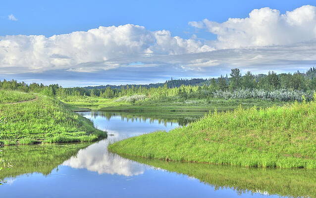 Summer Pond With Clouds by Jim Sauchyn
