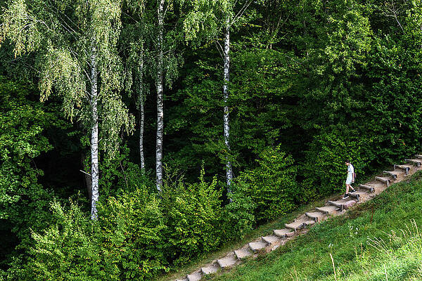 Summer Forest Scenery With a Girl Walking Down the Trail by Aidas Degutis