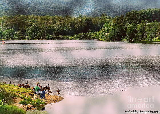 Summer Postmarked From Leaser Lake by Tami Quigley Summer Postmarked From Leaser Lake by Tami Quigley