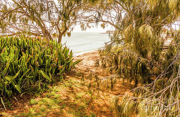 Wall Art featuring the photograph Summer Shading by Jorgo Photography