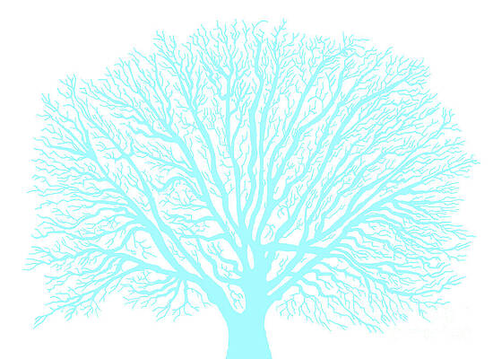 Summer Tree by Norma Appleton Summer Tree by Norma Appleton