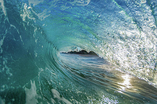 Sun Curl by Sean Davey Sun Curl by Sean Davey