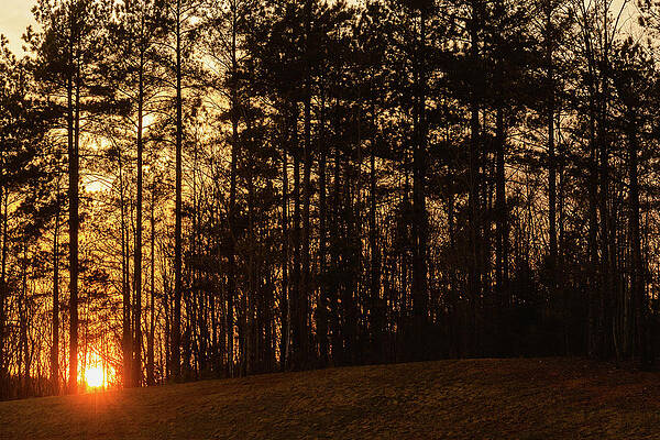 Sun Sets Behind the Hill by Joni Eskridge Sun Sets Behind the Hill by Joni Eskridge