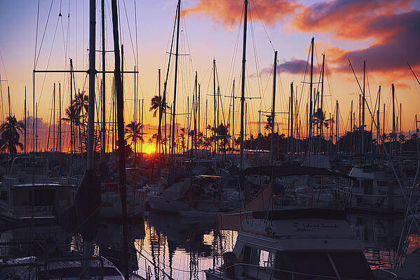 Sun Setting at the Harbor by Lucinda Walter Sun Setting at the Harbor by Lucinda Walter