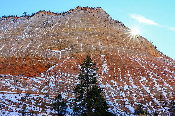 Wall Art - Photograph - Sun Setting over Checkboard Mesa, Zion by Dawn Richards
