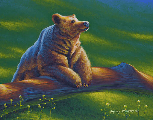 Sunday Morning by Timothy Stanford Sunday Morning by Timothy Stanford