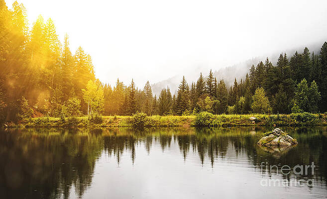 Sunlight and Fog Before the Storm by Lincoln Rogers Sunlight and Fog Before the Storm by Lincoln Rogers